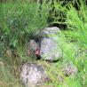 images/Schweden/Schweden 2009/IMG_4392.jpg